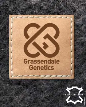 δερμάτινα Patches